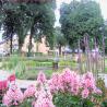 images/Schweden/Schweden 2009/IMG_4521.jpg